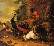 Melchior de Hondecoeter Birds in a Park China oil painting reproduction